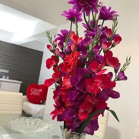 Apartamento Nissi49